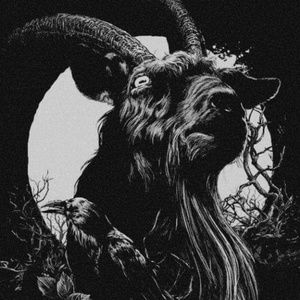 Meet your Posher, Jami